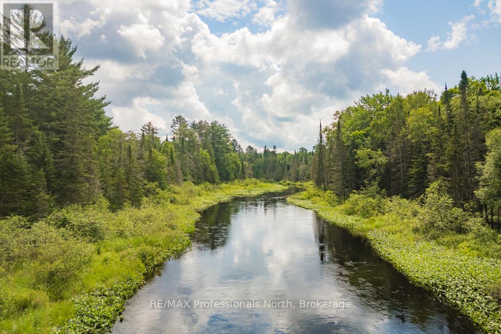 0 N/a, Dysart Et Al (Dysart), Ontario  K0M 1S0 - Photo 14 - X12057238