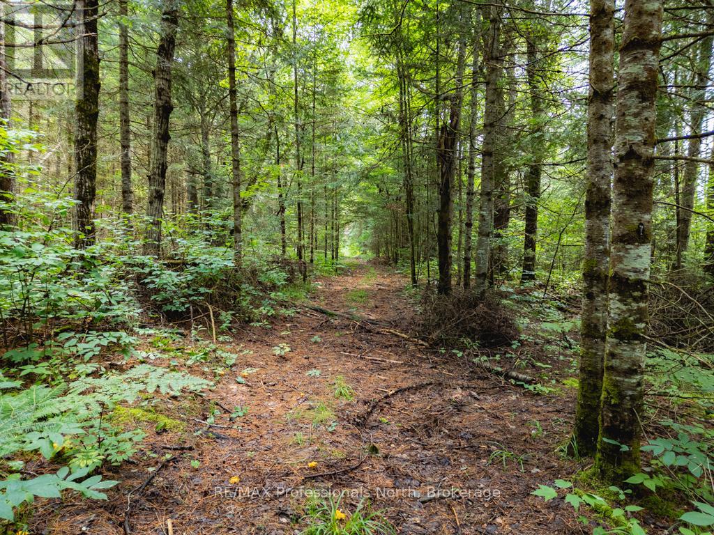 0 N/a, Dysart Et Al (Dysart), Ontario  K0M 1S0 - Photo 5 - X12057238