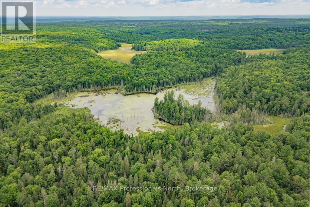 0 N/a, Dysart Et Al (Dysart), Ontario  K0M 1S0 - Photo 9 - X12057238