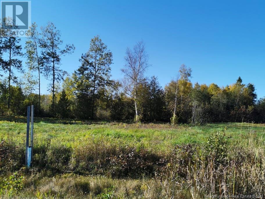 Lot 34 Bellevue Street, Charlo, New Brunswick  E8E 0B6 - Photo 2 - NB115381