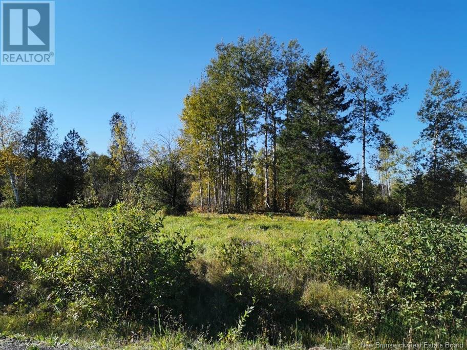 Lot 35 Bellevue Street, Charlo, New Brunswick  E8E 0B6 - Photo 2 - NB115390