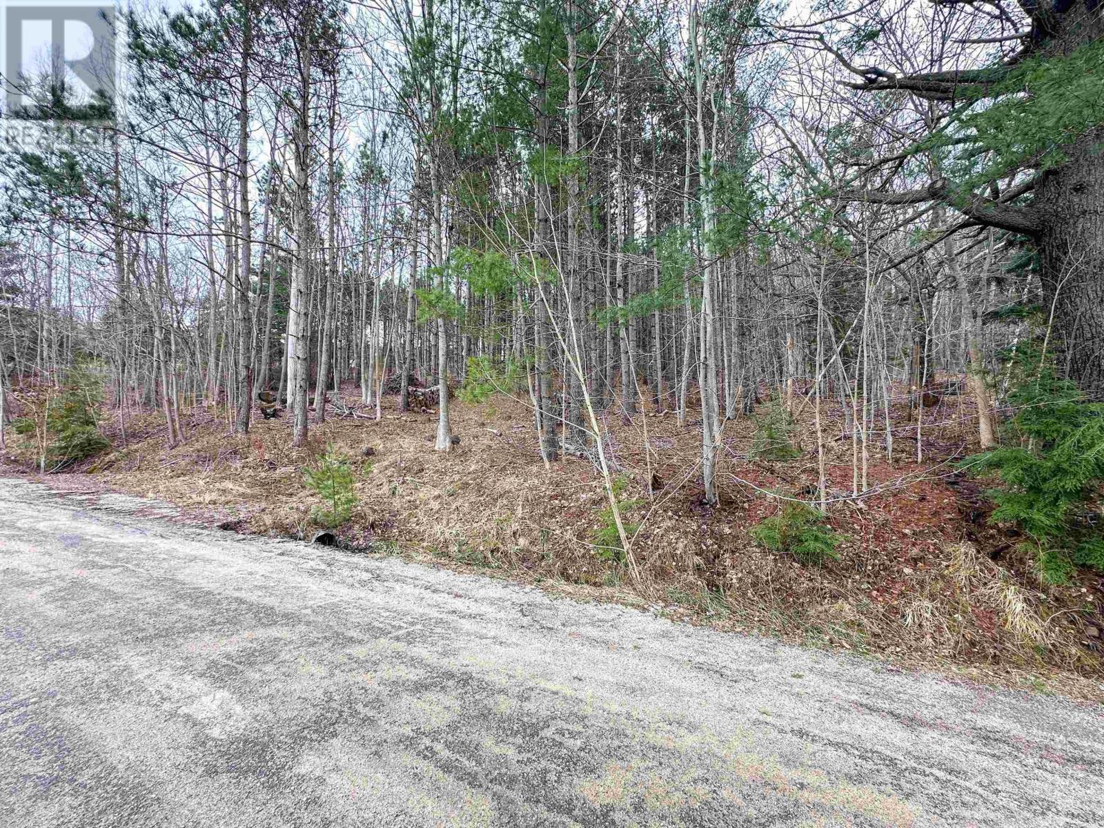 Lot Harlow Road, Conquerall Bank, Nova Scotia  B4V 0H2 - Photo 8 - 202506601