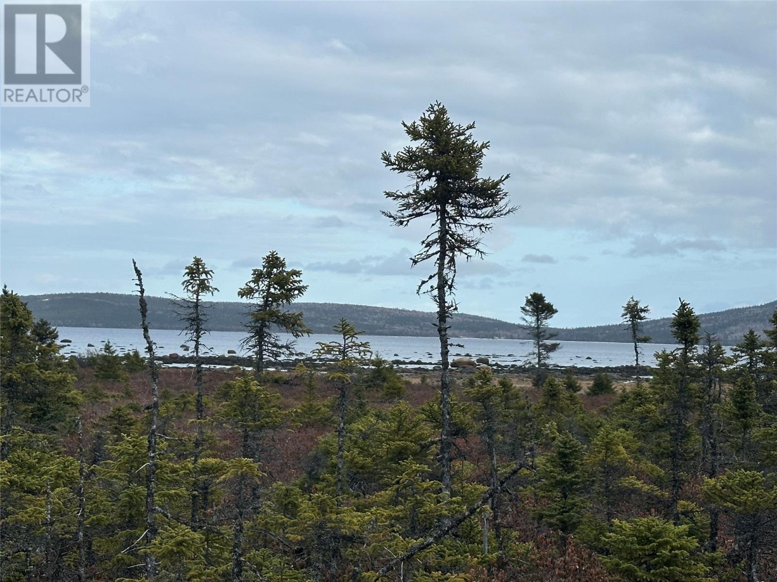 178 Jr Smallwood Boulevard, Gambo, Newfoundland & Labrador  a0g 2e0 - Photo 2 - 1282673