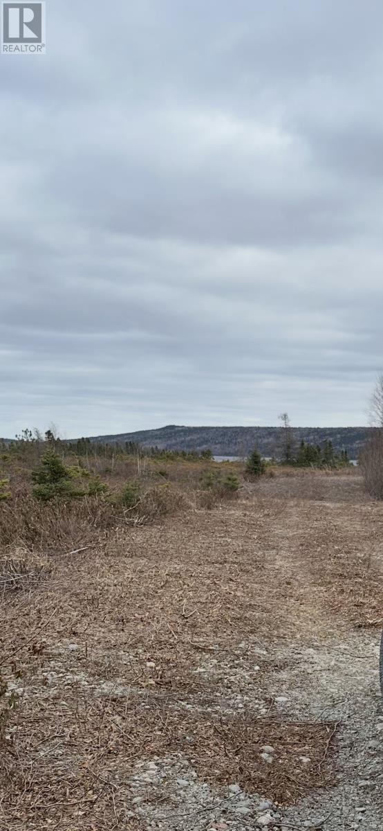 178 Jr Smallwood Boulevard, Gambo, Newfoundland & Labrador  a0g 2e0 - Photo 3 - 1282673