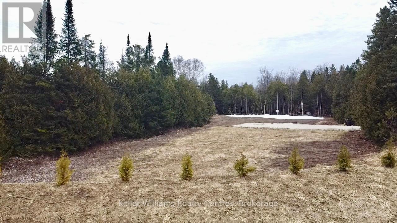 Blk 65 Louise Creek Crescent, West Grey, Ontario  N0G 1S0 - Photo 6 - X12057461