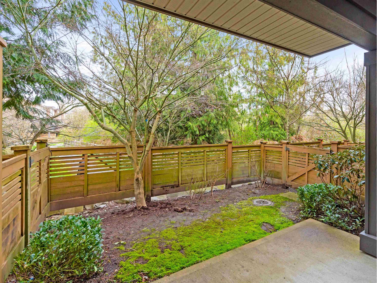 61 5888 144 Street, Surrey, British Columbia  V3Z 0E3 - Photo 19 - R2984782