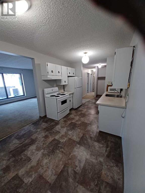 112, 7801 98 Street, Peace River, Alberta  T8S 1C7 - Photo 4 - A2208052