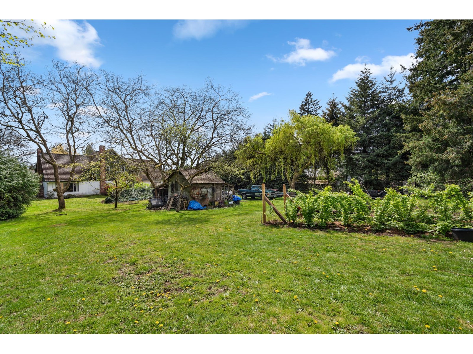 14633 56 Avenue, Surrey, British Columbia  V3S 1B6 - Photo 40 - R2983195