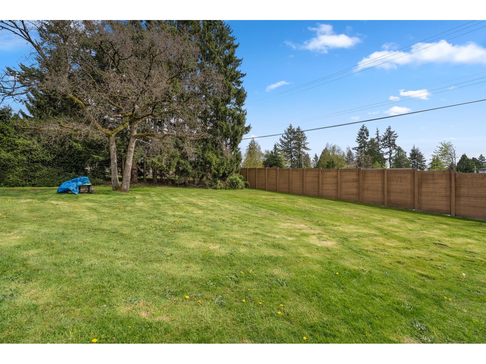 14633 56 Avenue, Surrey, British Columbia  V3S 1B6 - Photo 5 - R2983195