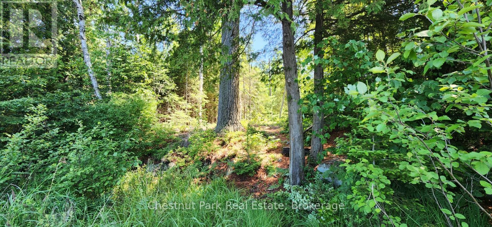 730 Echo Ridge Road, Kearney, Ontario  P0A 1M0 - Photo 32 - X12058185