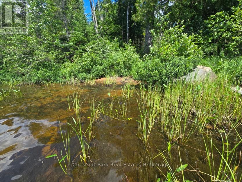 730 Echo Ridge Road, Kearney, Ontario  P0A 1M0 - Photo 41 - X12058185