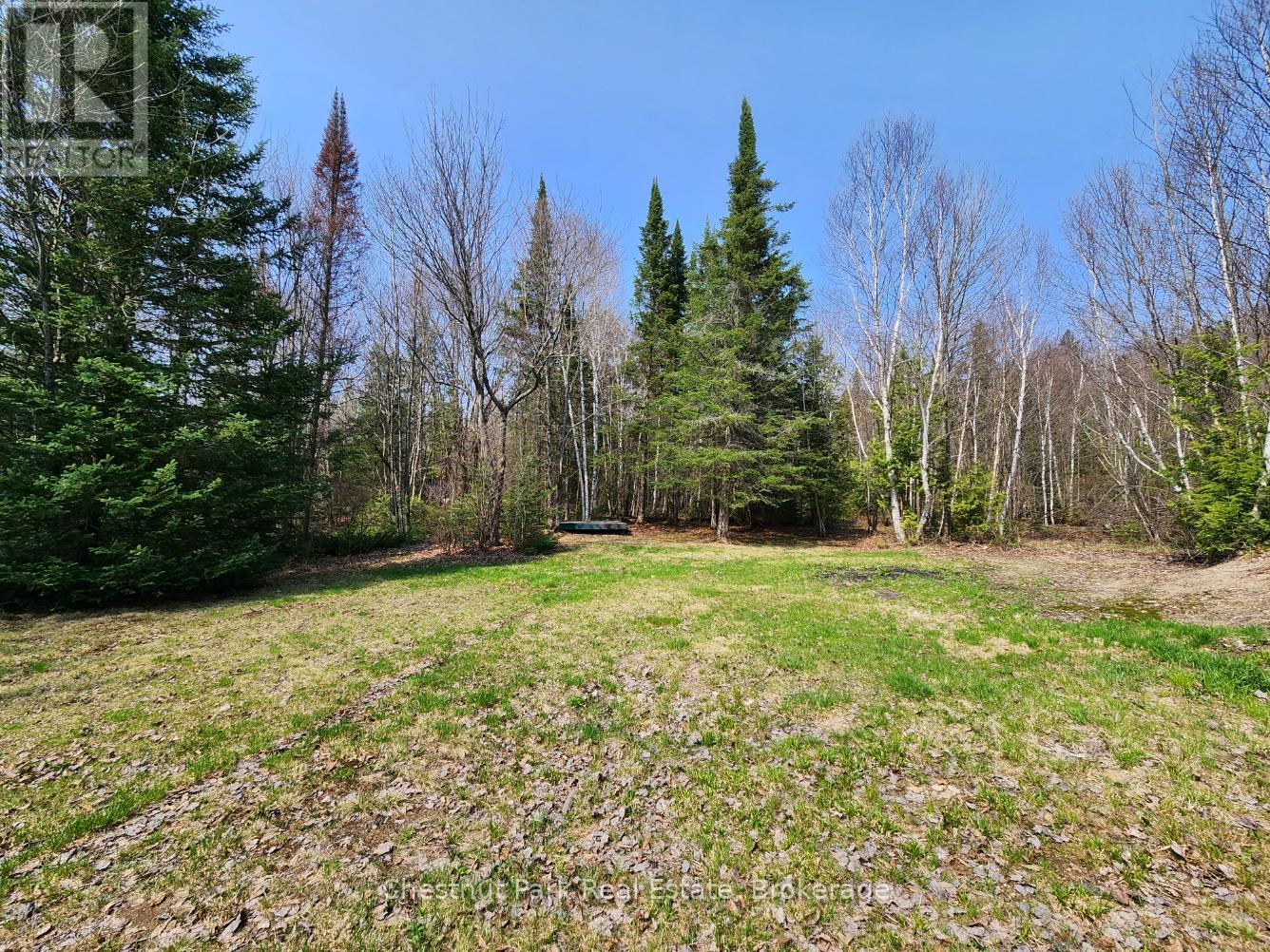 730 Echo Ridge Road, Kearney, Ontario  P0A 1M0 - Photo 7 - X12058185