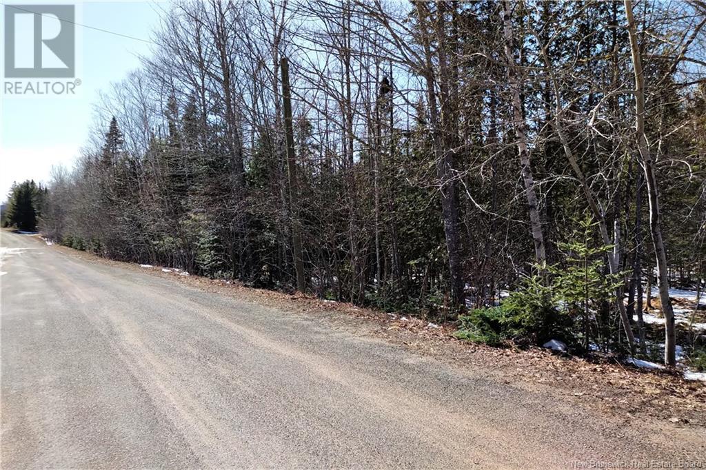 Lot Richardson Street, Mazerolle Settlement, New Brunswick  E3E 2H4 - Photo 2 - NB115219