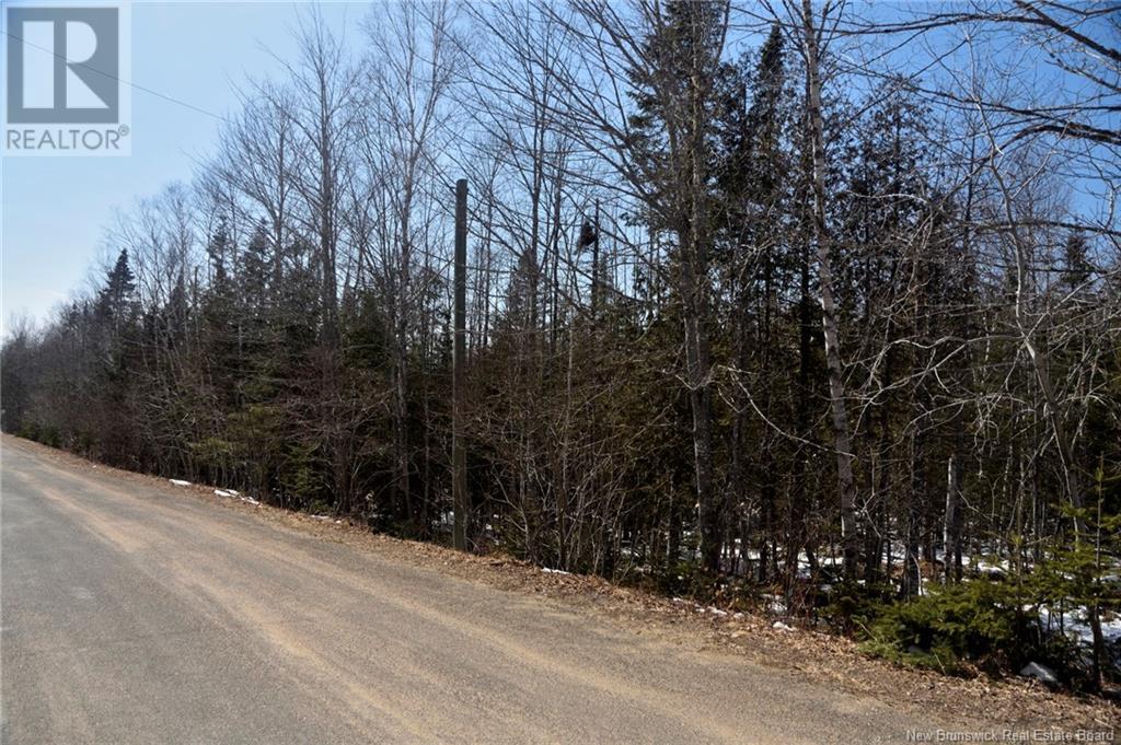 Lot Richardson Street, Mazerolle Settlement, New Brunswick  E3E 2H4 - Photo 3 - NB115219