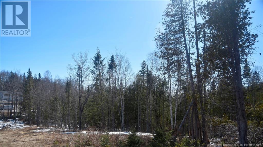 Lot Richardson Street, Mazerolle Settlement, New Brunswick  E3E 2H4 - Photo 4 - NB115219