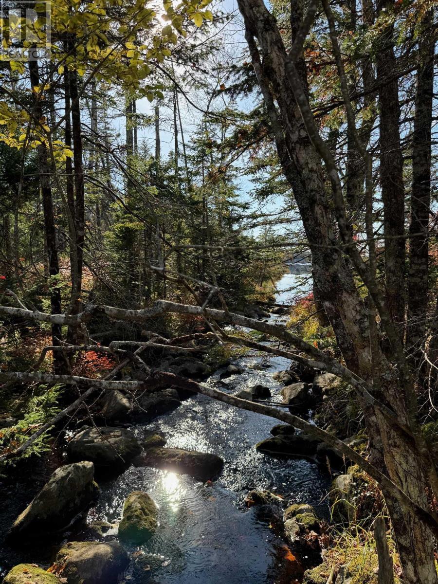 Grant 5942 Jacksons Mountain, East Quinan, Nova Scotia  B0W 3M0 - Photo 1 - 202506671