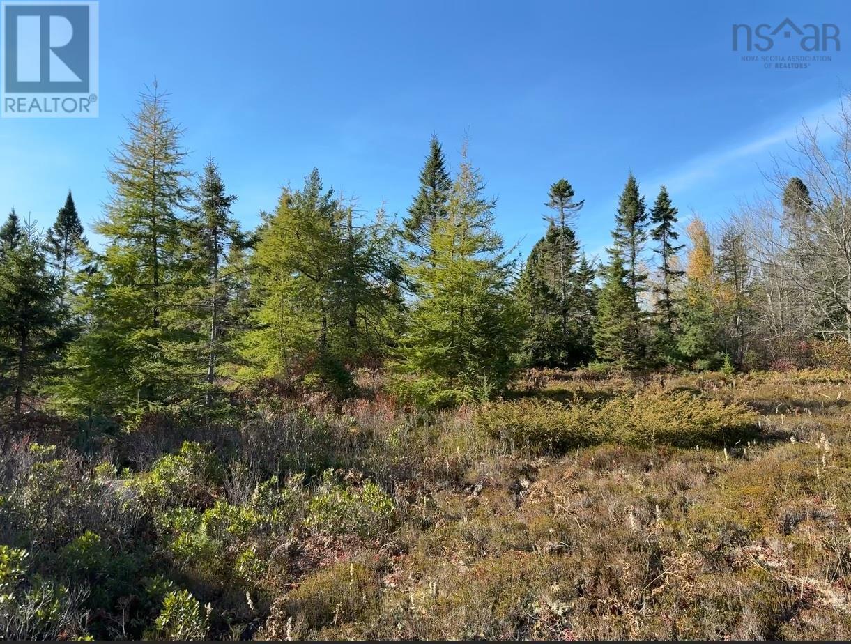 Grant 5942 Jacksons Mountain, East Quinan, Nova Scotia  B0W 3M0 - Photo 5 - 202506671