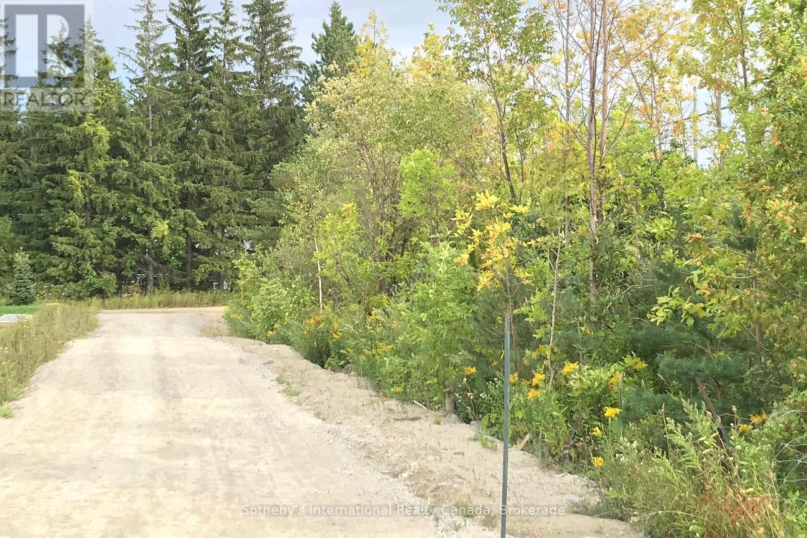 206 - 10 Beckwith Lane, Blue Mountains, Ontario  L9Y 0A4 - Photo 13 - X12058746