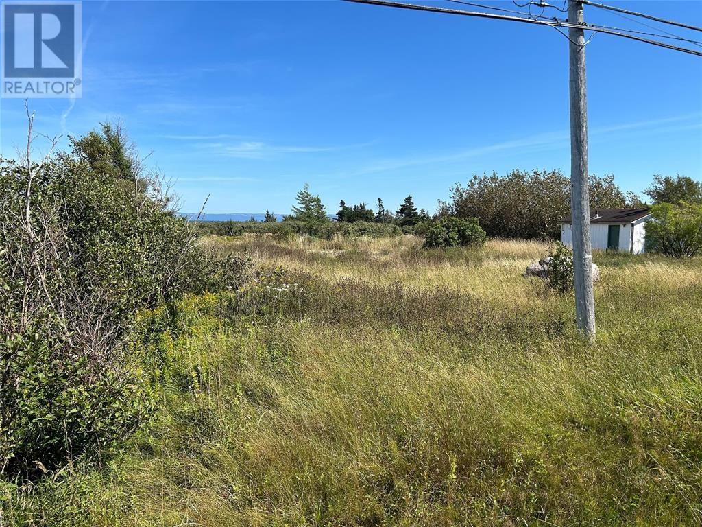 124 Main Street, West Bay, Newfoundland & Labrador  A0N 2E0 - Photo 2 - 1283254