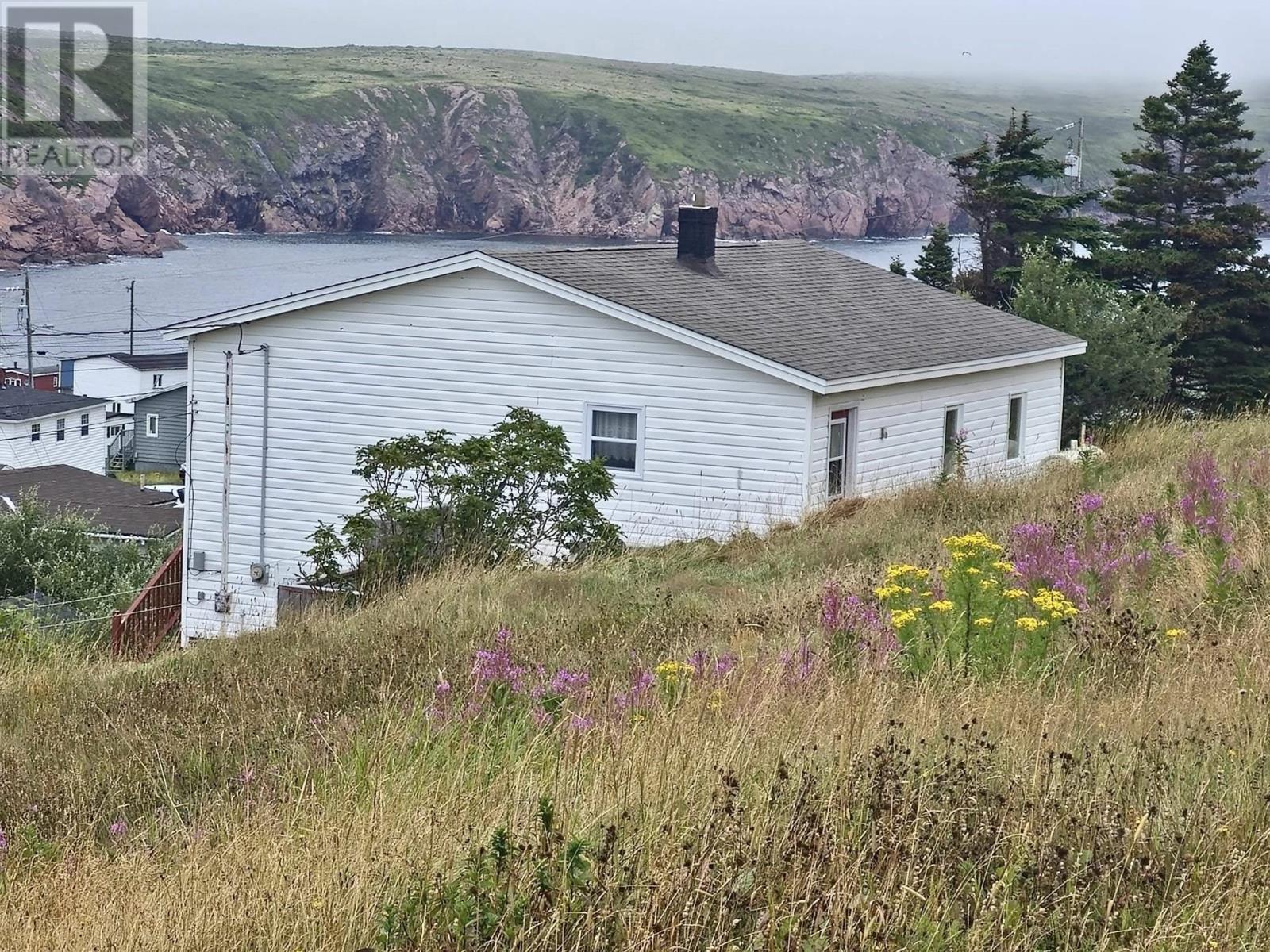 11 Walshes Hill, Bay De Verde, Newfoundland & Labrador  A0A 1E0 - Photo 2 - 1283110