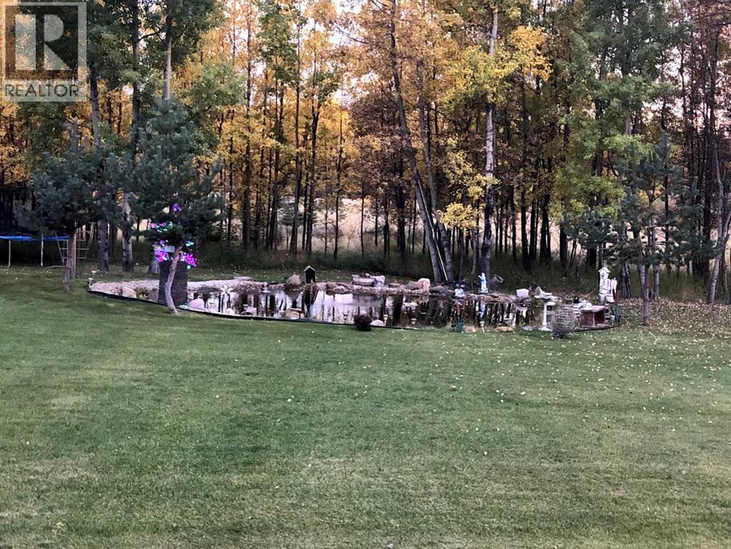 Lorem Ipsum Do, Edson, Alberta  T7E  - Photo 39 - DEMO28112319