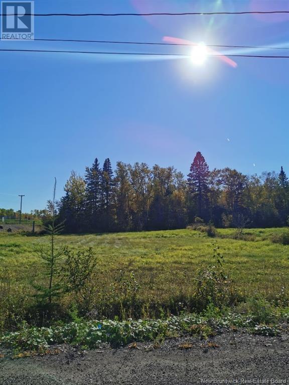 Property at Lot 47 Levesque Street image 4