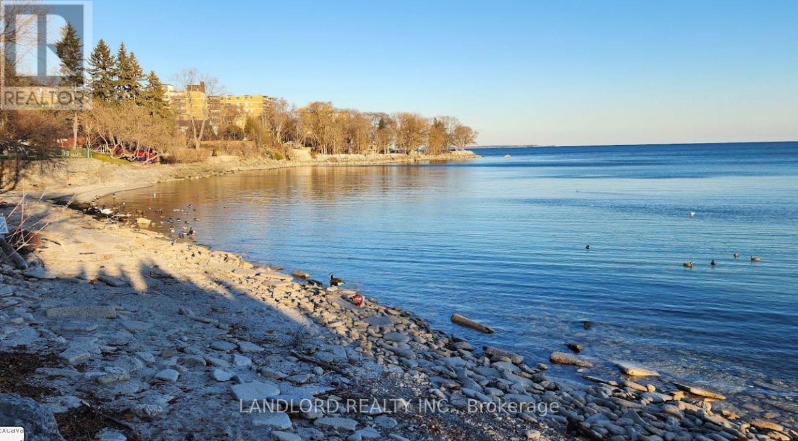 4 - 2696 Lake Shore Boulevard W, Toronto (Mimico), Ontario  M8V 1G8 - Photo 11 - W12059148