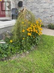 2039 Springridge Drive, London North, Ontario  N5X 0H1 - Photo 41 - X12059305
