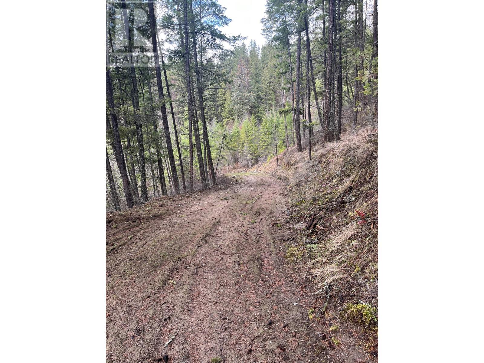 Lot 128 Broadwater Road, Castlegar, British Columbia  V1N 4V8 - Photo 13 - 10341470