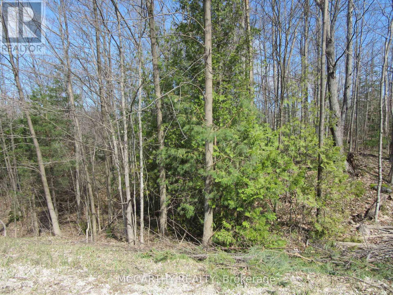 Lot  9 Pt Lt 25, Con Rd 8, West Grey, Ontario  N0C 1H0 - Photo 5 - X12059749