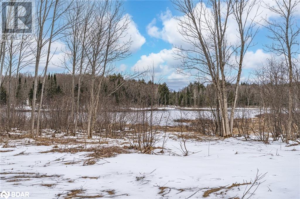 91b Highway 124, Mcdougall, Ontario  P2A 2W7 - Photo 5 - 40712612