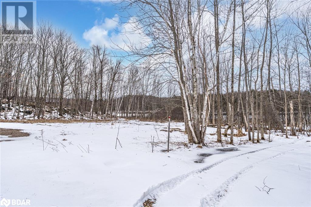 91b Highway 124, Mcdougall, Ontario  P2A 2W7 - Photo 2 - 40712612
