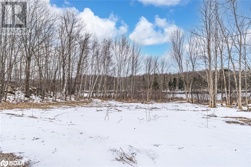 91b Highway 124, Mcdougall, Ontario  P2A 2W7 - Photo 3 - 40712612