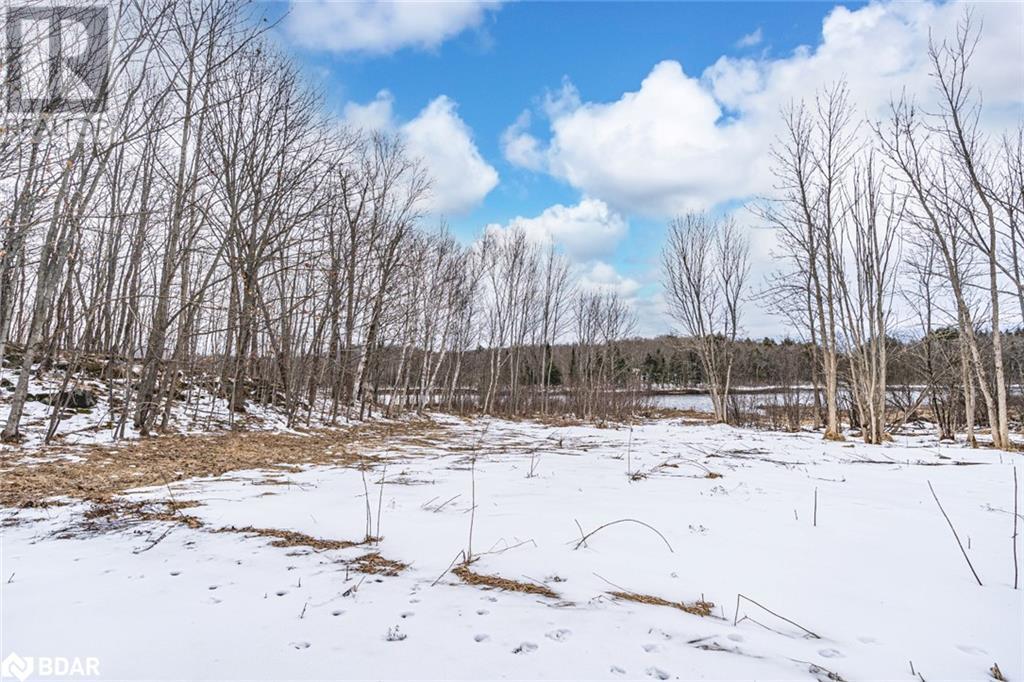 91b Highway 124, Mcdougall, Ontario  P2A 2W7 - Photo 4 - 40712612