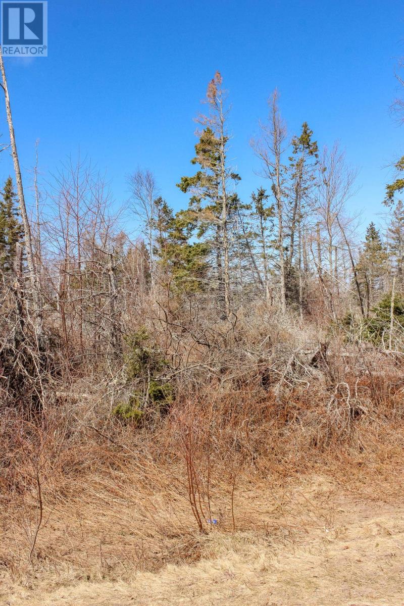 Peters Road, Peters Road, Prince Edward Island  C0A 1R0 - Photo 10 - 202506750
