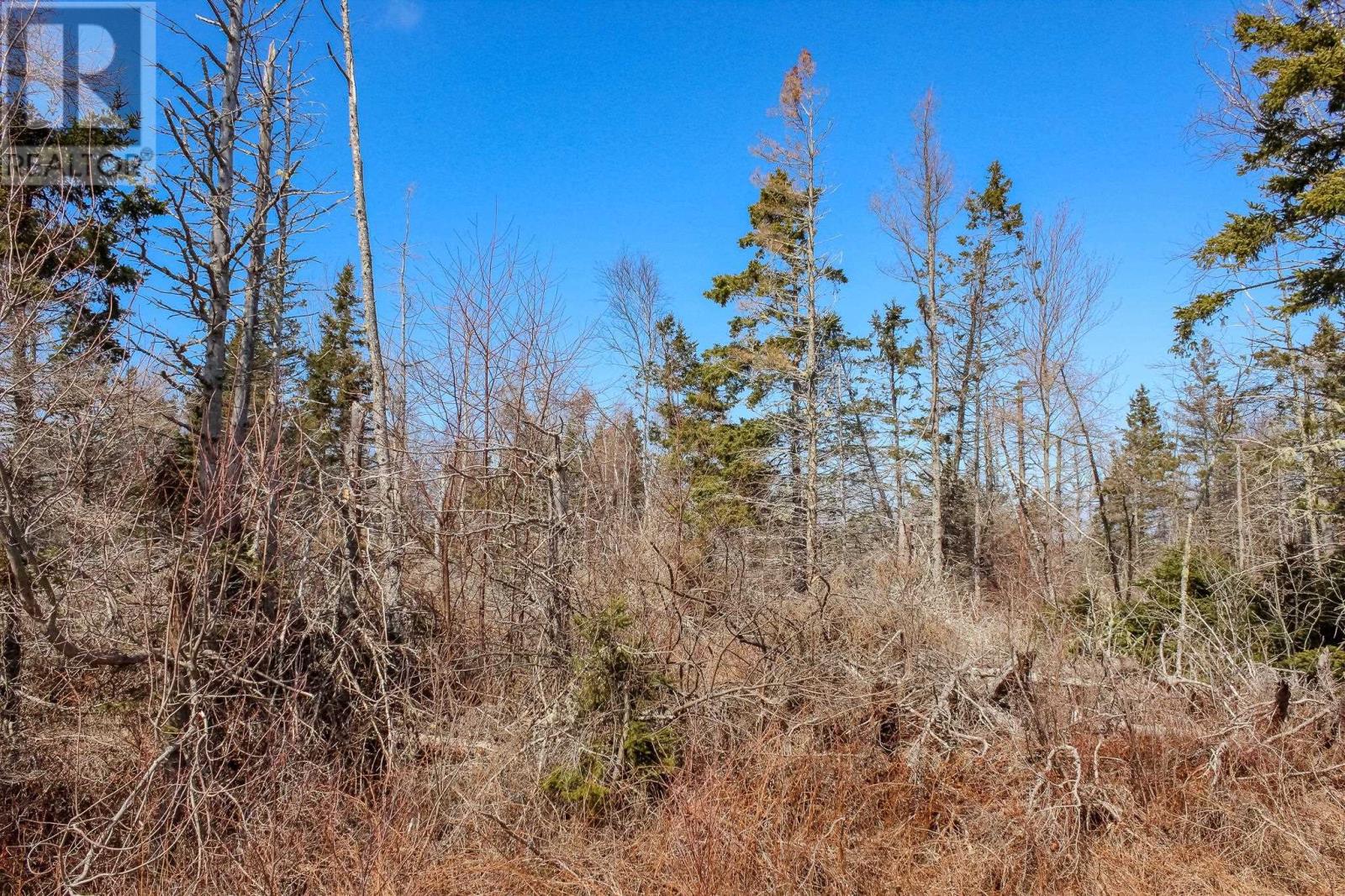 Peters Road, Peters Road, Prince Edward Island  C0A 1R0 - Photo 11 - 202506750