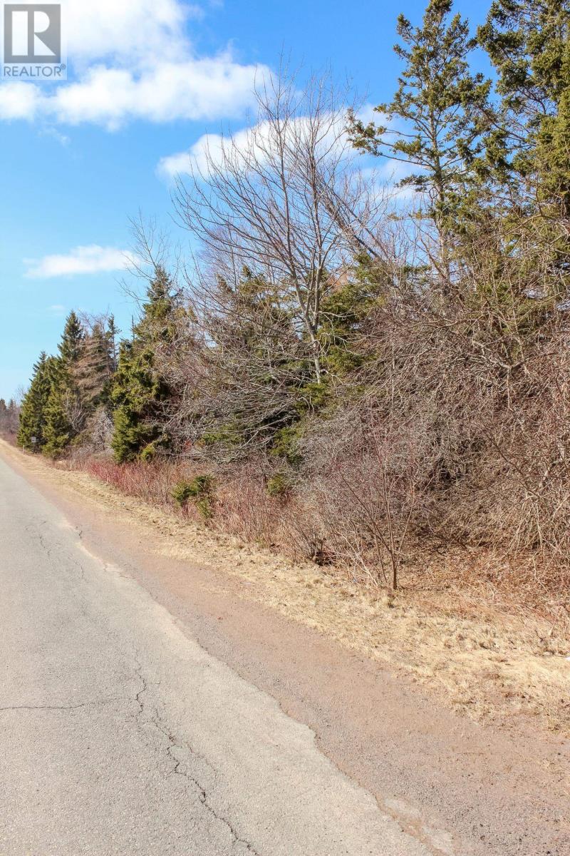 Peters Road, Peters Road, Prince Edward Island  C0A 1R0 - Photo 6 - 202506750