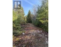 64 Forshay Beach Road, Cumberland Bay, Ca
