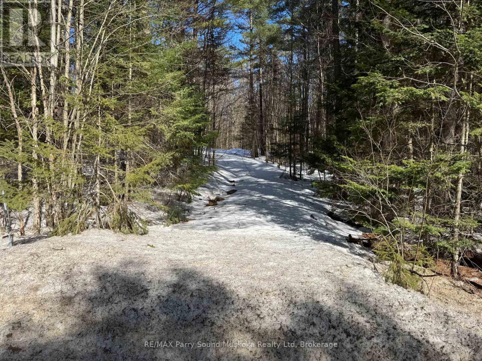 516 Turtle Lake Road, Seguin, Ontario  P0C 1J0 - Photo 2 - X12056137