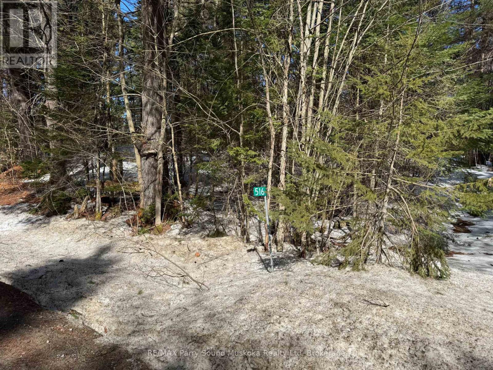 516 Turtle Lake Road, Seguin, Ontario  P0C 1J0 - Photo 3 - X12056137