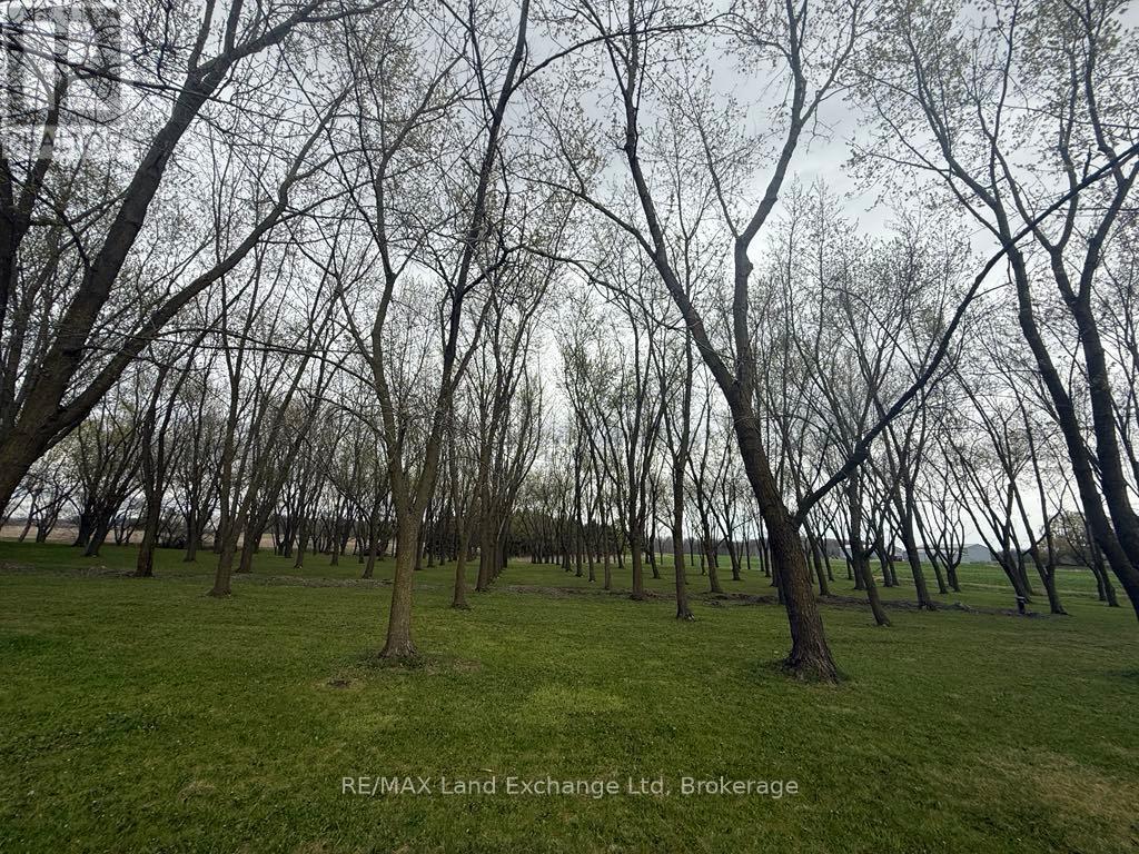 4019 Switzer Drive, Southwest Middlesex, Ontario  N0L 1M0 - Photo 31 - X12031456
