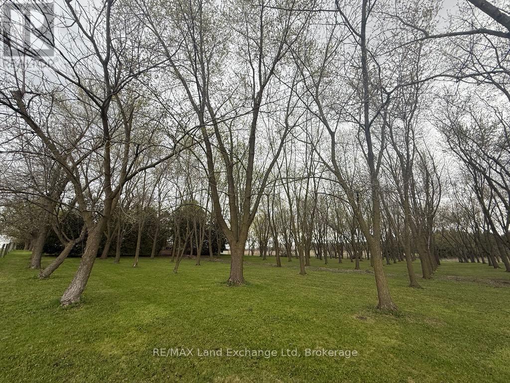 4019 Switzer Drive, Southwest Middlesex, Ontario  N0L 1M0 - Photo 33 - X12031456