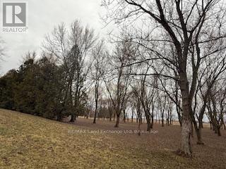 4019 Switzer Drive, Southwest Middlesex, Ontario  N0L 1M0 - Photo 34 - X12031456