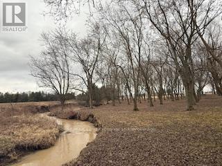4019 Switzer Drive, Southwest Middlesex, Ontario  N0L 1M0 - Photo 35 - X12031456