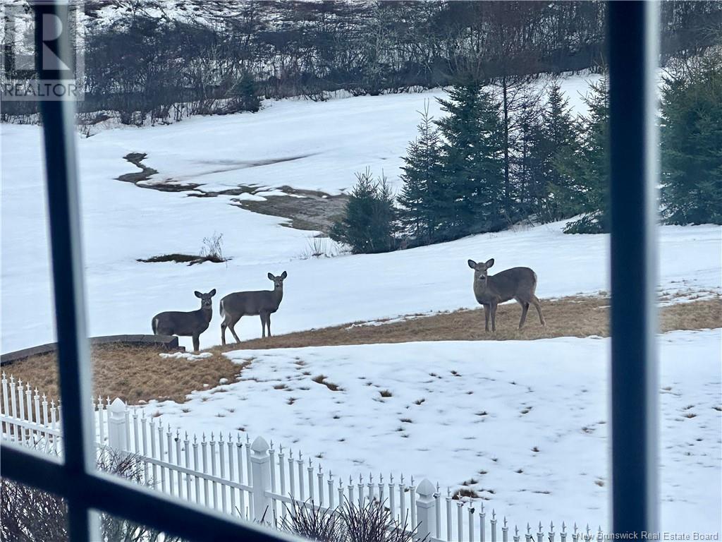 6865 Route 134, Mcintosh Hill, New Brunswick  E4S 4L3 - Photo 41 - NB114990