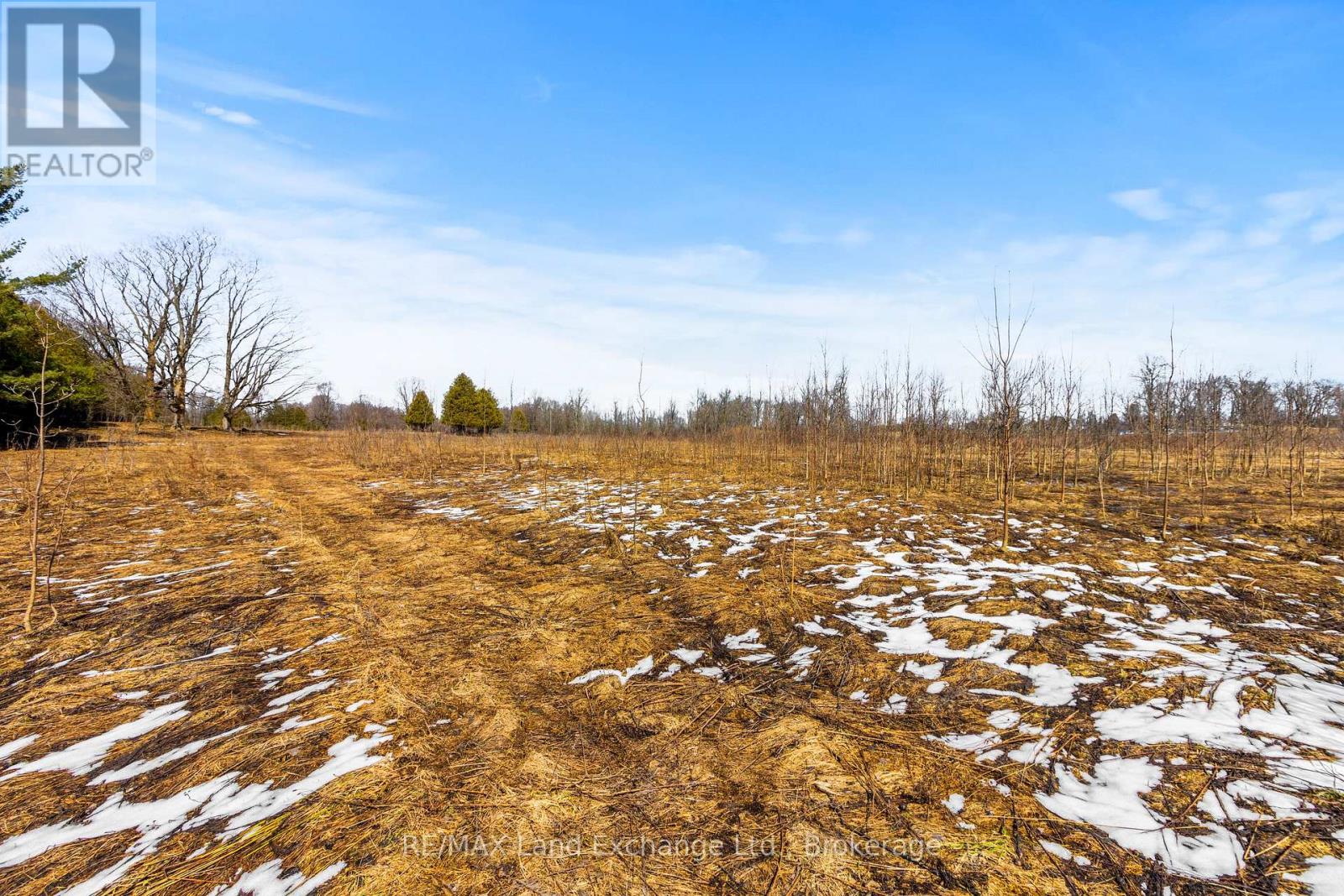 317394 Hwy 6 & 10, R.r. #4 Highway, Georgian Bluffs, Ontario  N4K 5N6 - Photo 29 - X12060809