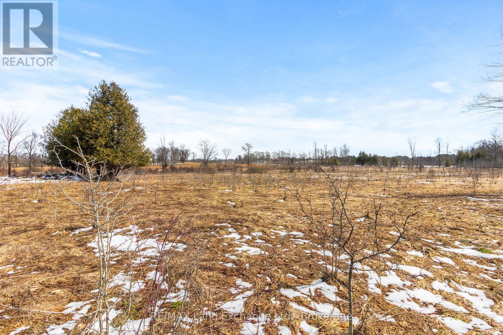 317394 Hwy 6 & 10, R.r. #4 Highway, Georgian Bluffs, Ontario  N4K 5N6 - Photo 30 - X12060809