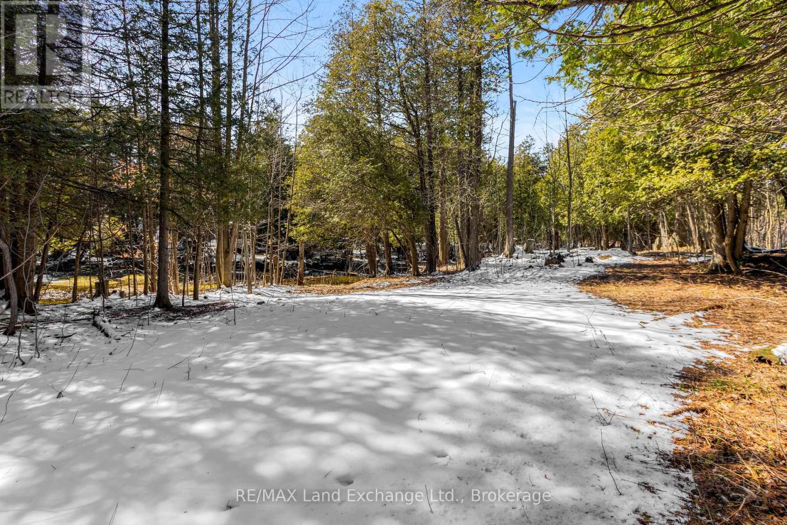 317394 Hwy 6 & 10, R.r. #4 Highway, Georgian Bluffs, Ontario  N4K 5N6 - Photo 32 - X12060809
