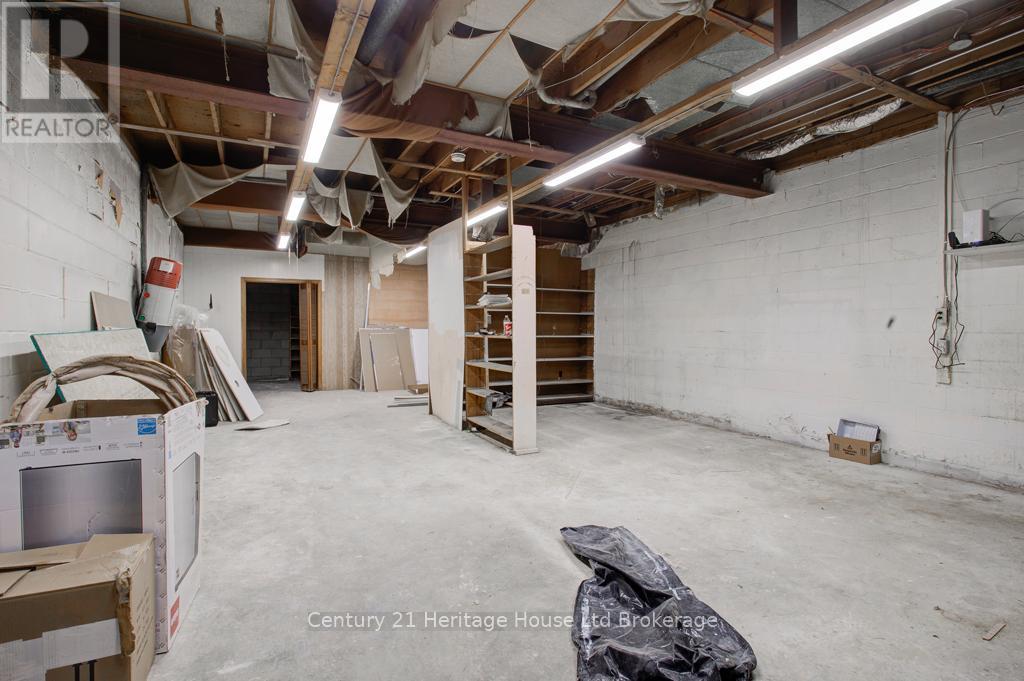 Basement - 10 Brock Street E, Tillsonburg, Ontario  N4G 1Z5 - Photo 3 - X12060863
