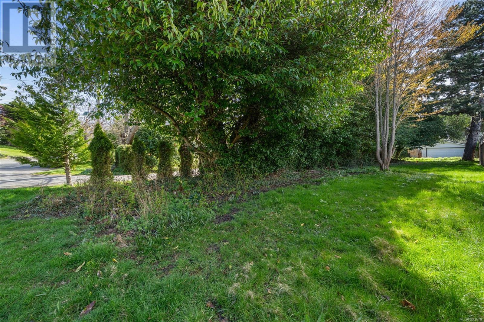 1044 Deal St, Oak Bay, British Columbia  V8S 5G5 - Photo 10 - 993670